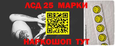 дживик Можга