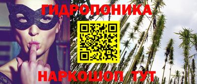 дживик Можга
