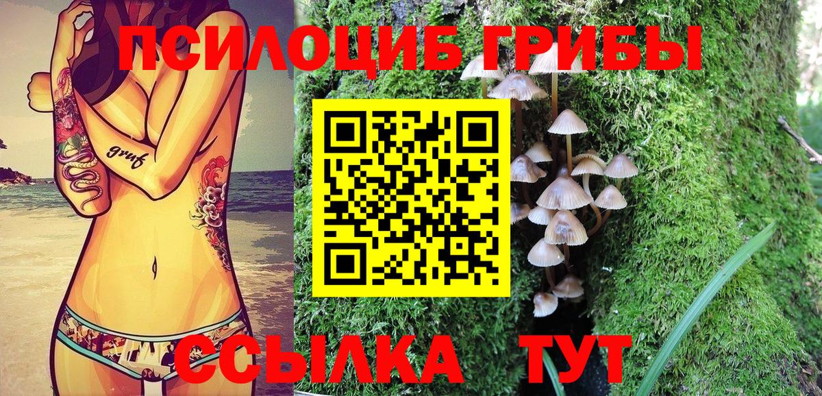Галлюциногенные грибы GOLDEN TEACHER  купить закладку  Чистополь  Вход с VPN 